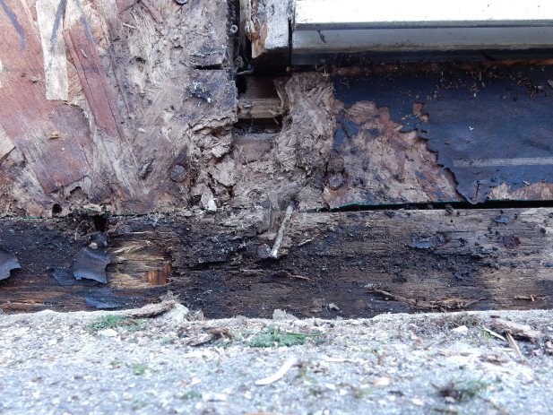 Damaged Structure due to bad siding. dry rot repair needed